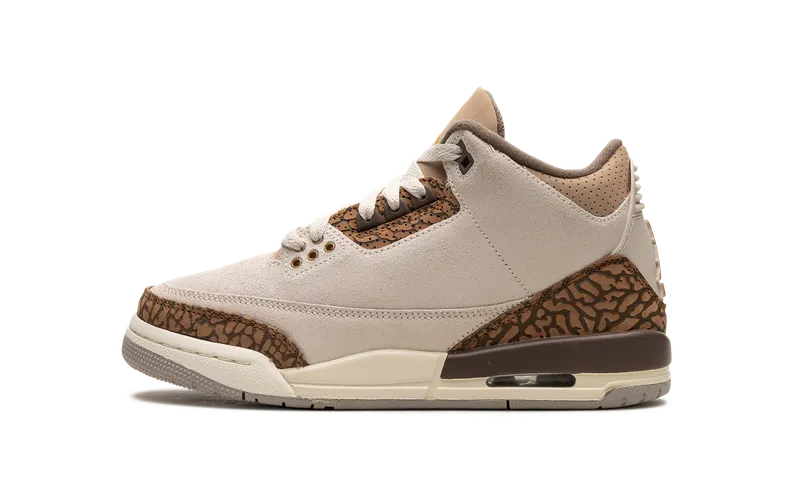 Air Jordan 3 GS “Palomino” (DM0967-102)