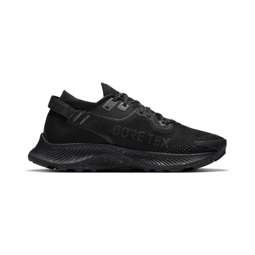 Nike Pegasus Trail 2 GORE-TEX Trail Running Black (CU2018-001)