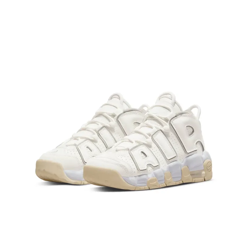 Nike Air More Uptempoen Grey (DM1023-001)
