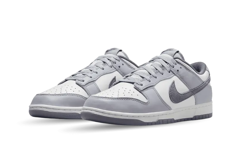 Nike Dunk Low SE Light Carbon Grey (FJ4188-100)