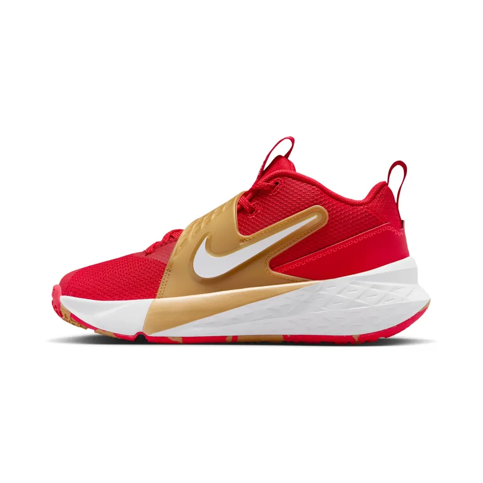 Nike Team Hustle D 12 University Red Gold White (HF6279-603)