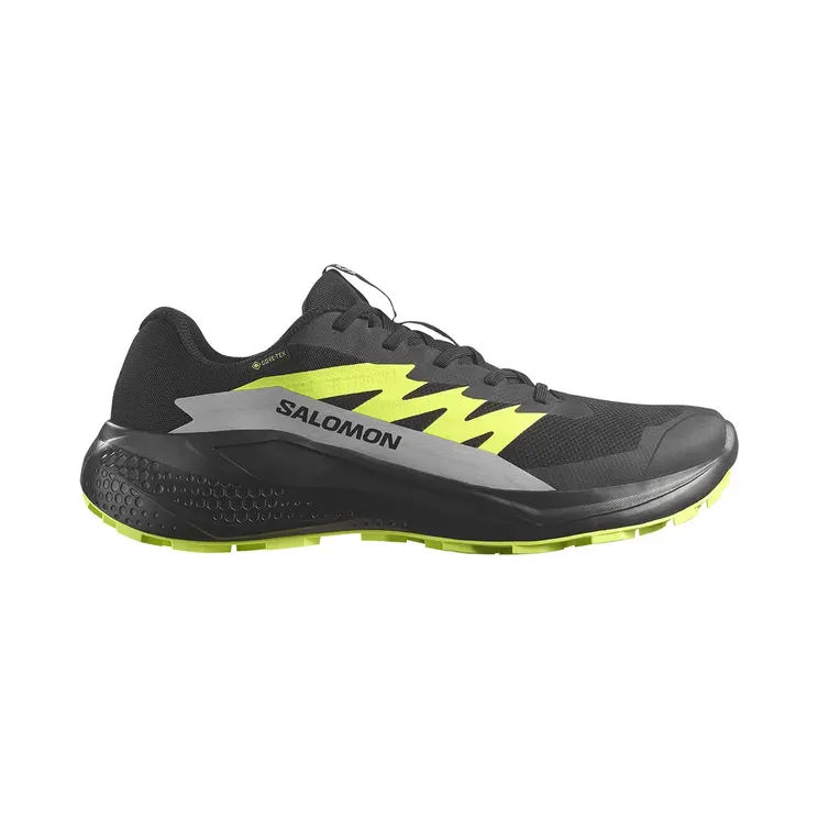 Salomon Alphaglide Gore-Tex Black Alloy Sharp Green (L47802000)