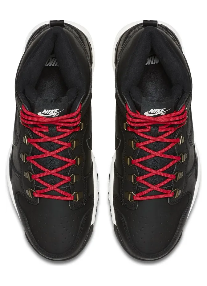 nike-dunk-sb 806335-012