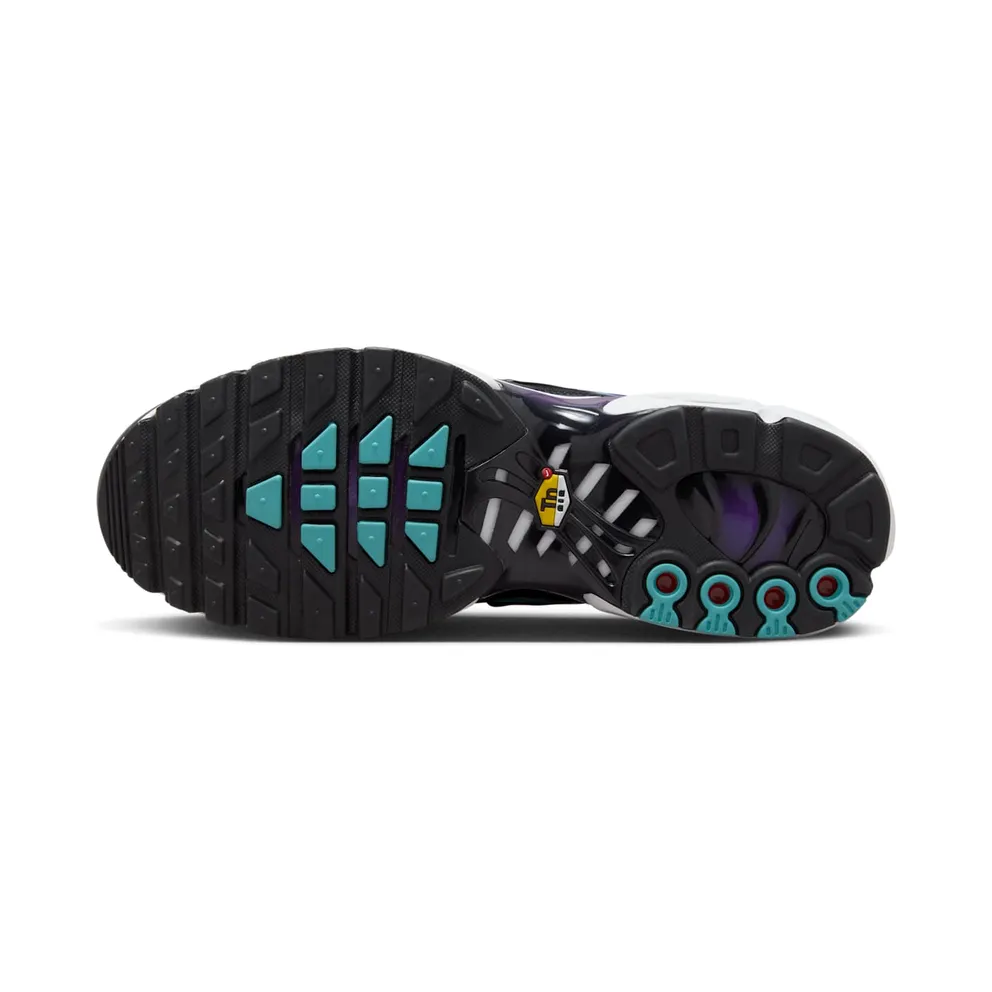 Nike Air Max Plus Reverse Grape (FQ2415-500)