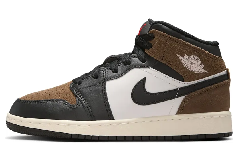 air-jordan-1 DQ8423-007