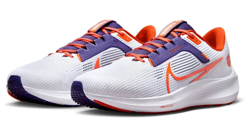 nike-air-pegasus DZ5966-100
