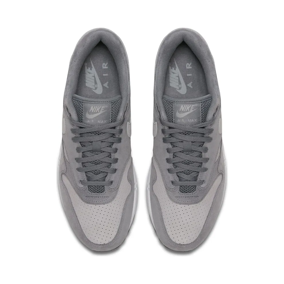 Nike Air Max 1 Cool Grey Wolf Grey (2018) (875844-005)