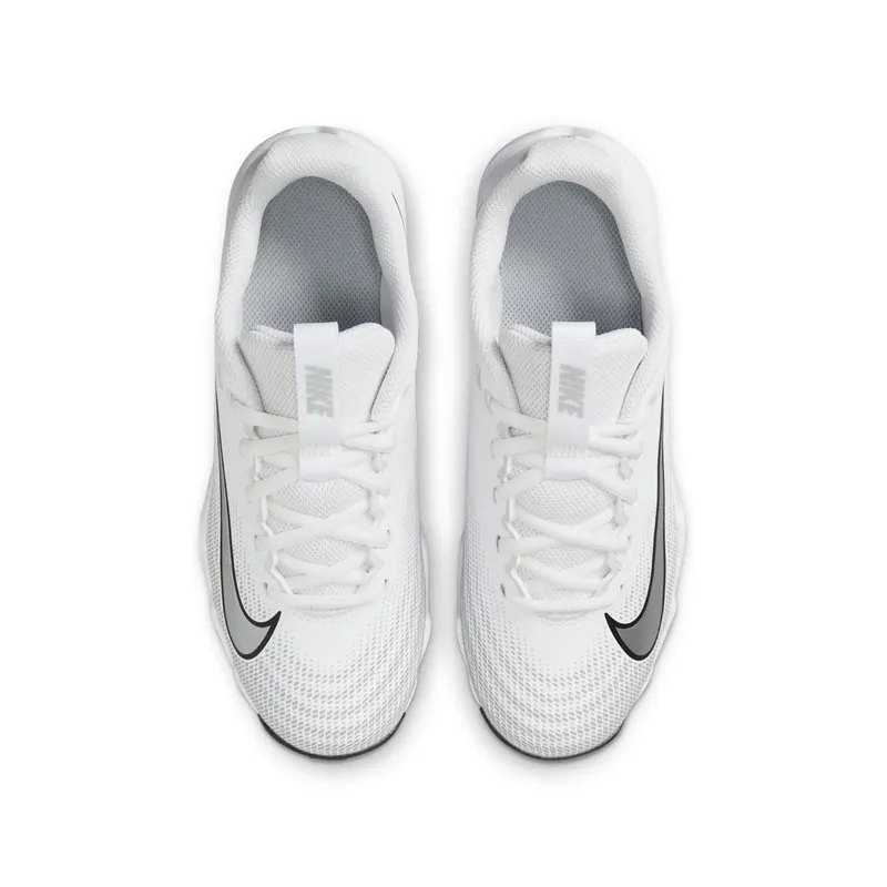 Nike Vapor Shark 3 White Wolf Grey Black Metallic Silver (FB3306-100)