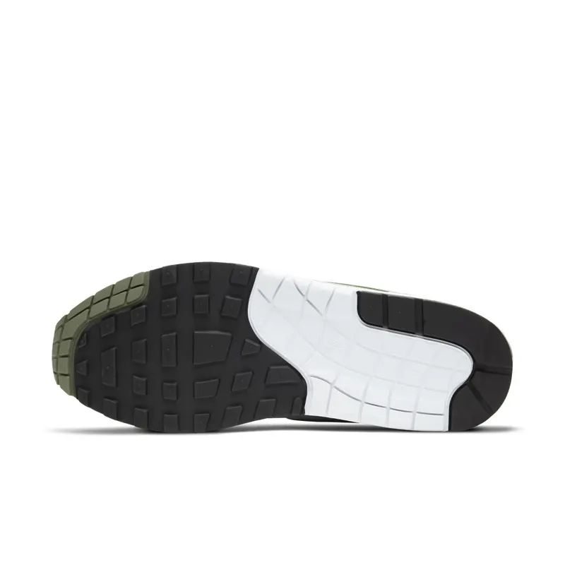 Nike Air Max 1 Spiral Sage White/Spiral Sage-Wolf Grey-Black (DB5074-100)