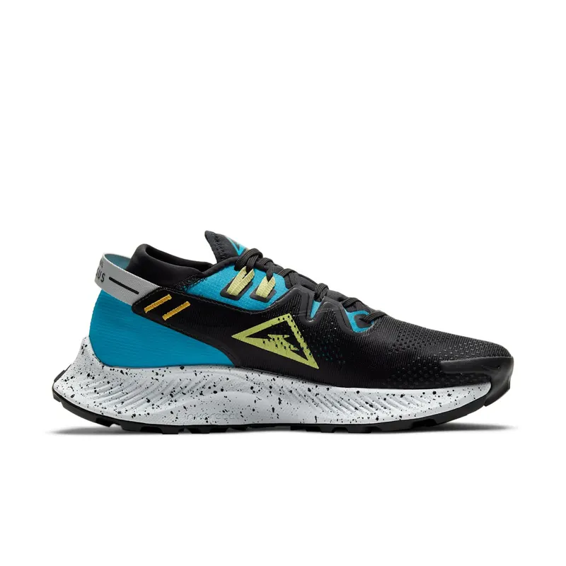 Nike Pegasus Trail 2 Trailrunningschoen for Women Black (CK4309-003)