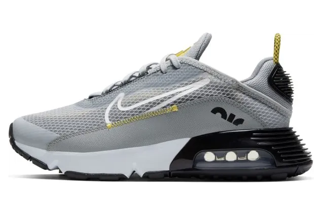 Nike Air Max 2090 Grijs (CJ4066-002)