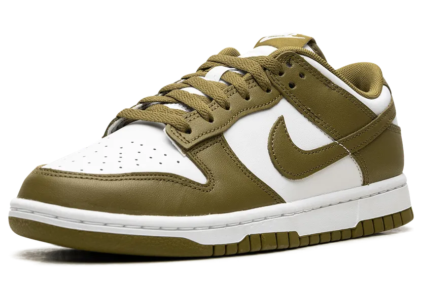 nike-dunk DV0833-105