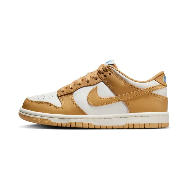 Nike Dunk Low GS “Honeycomb / Sail / University Blue” (FB9109-700)