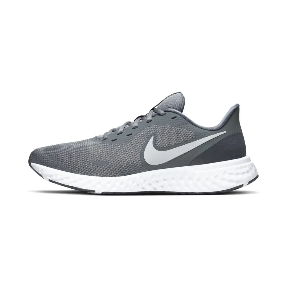 Nike Revolution 5 Cool Grey Cool Grey/Dark Grey-Pure Platinum (BQ3204-005)
