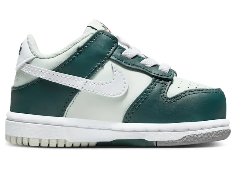 nike-dunk FB9107-300