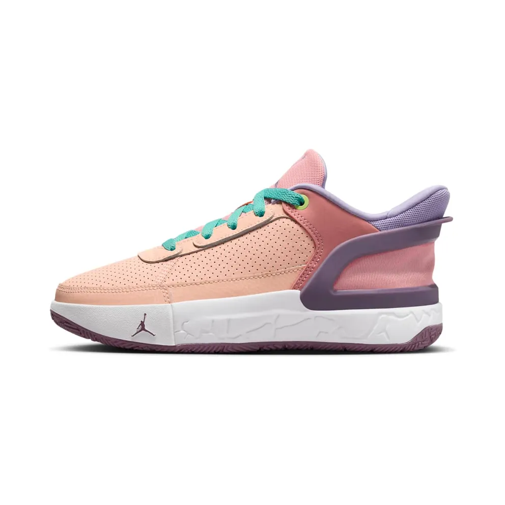 Jordan DAY1 EO Crimson Tint Violet Dust Hydrangeas Coral Stardust (FQ1306-800)
