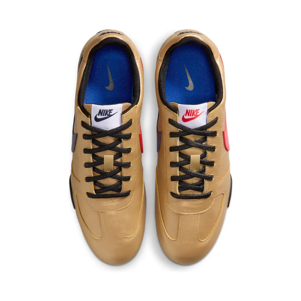 Nike Sprint Sister – “Metallic Gold” (II6984-700)