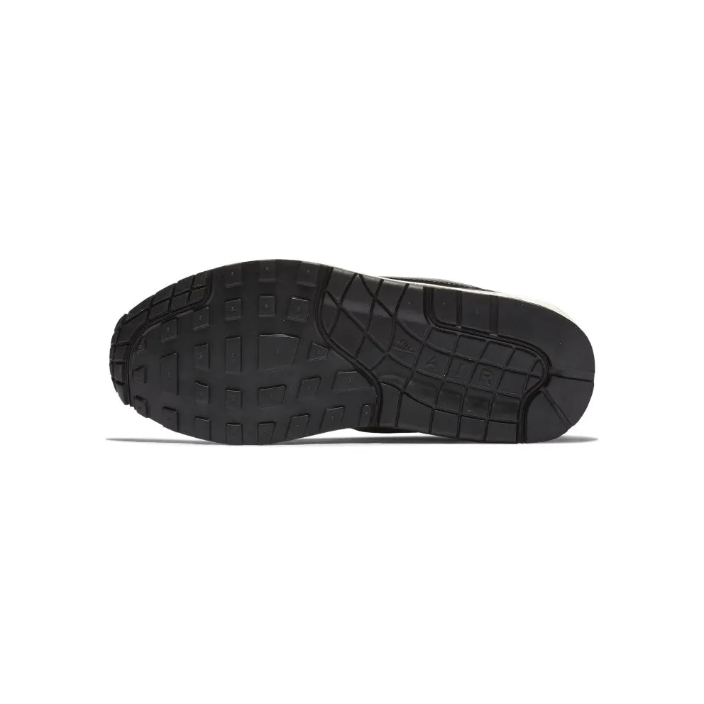 Nike Air Max 1 Stealth (W) Black/Black-White (319986-039)