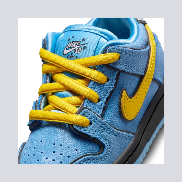nike-dunk-sb FZ8830-400