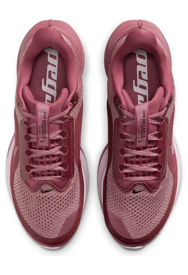 nike-air-pegasus HQ2593-607