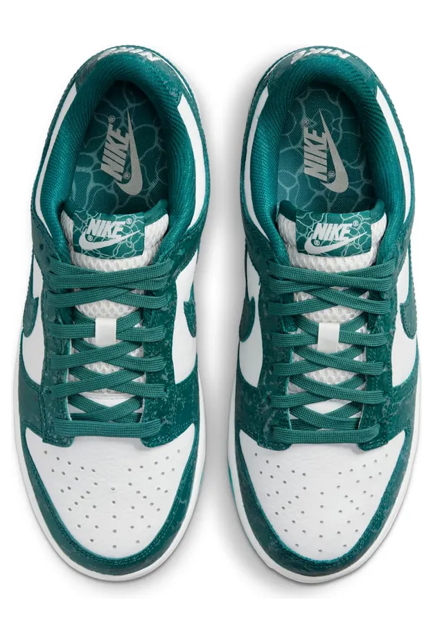 nike-dunk DV3029-100