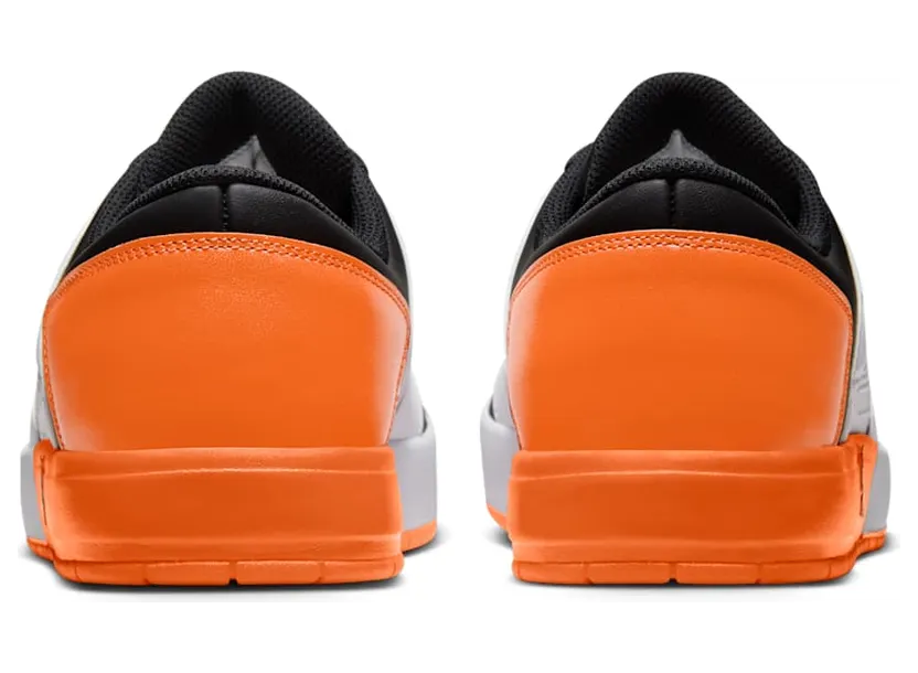 air-jordan-1-low DV5141-108