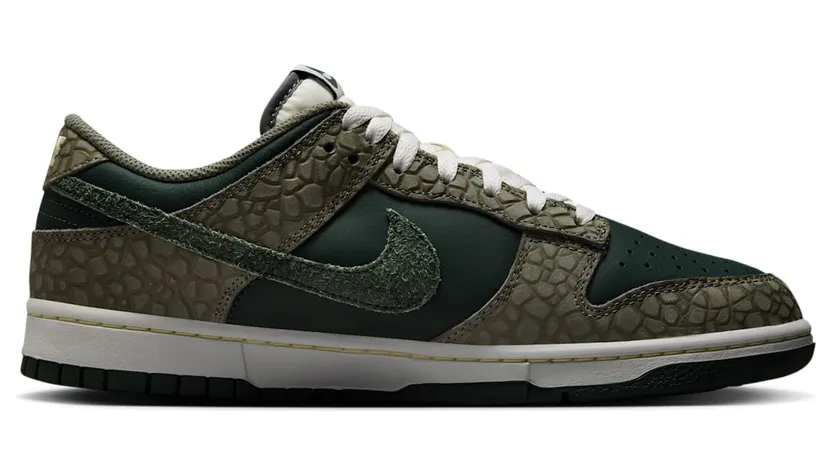 nike-dunk HF4878-053