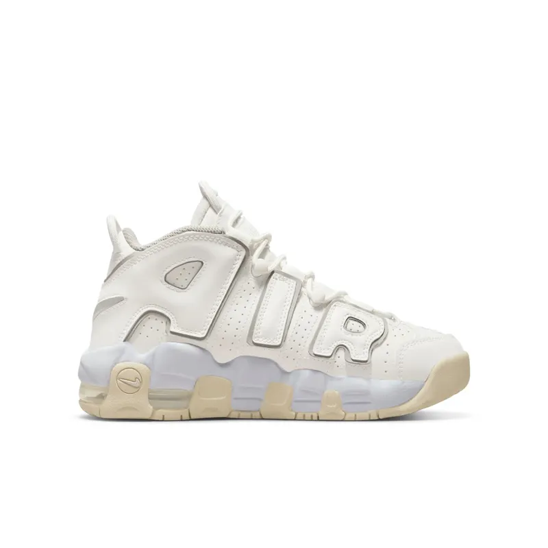 Nike Air More Uptempoen Grey (DM1023-001)