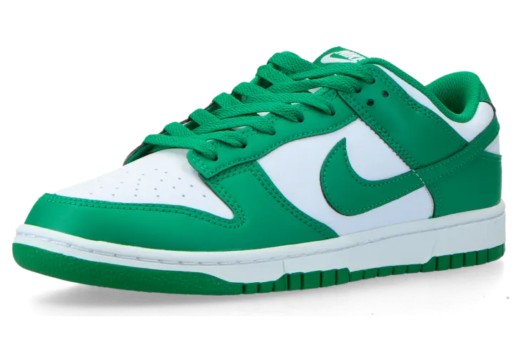 nike-dunk HF5441-101