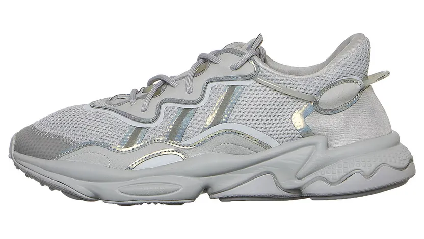 adidas-x-raf-simons-ozweego FV9656