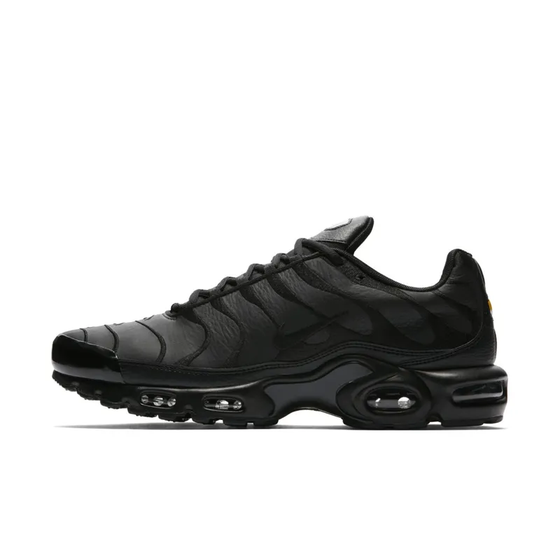 Nike Air Max Plus Triple Black Leather Black/Black-Black (AJ2029-001)