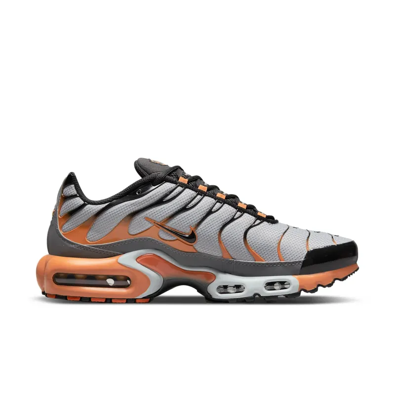 Nike Air Max Plus Grey (DM0032-001)