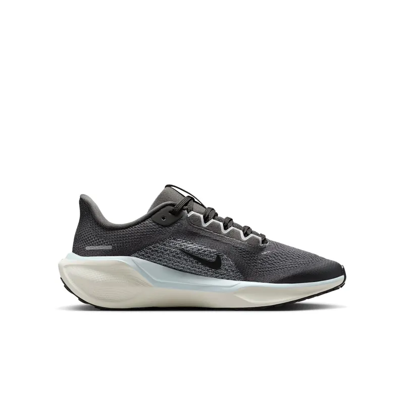 Nike Air Zoom Pegasus 41 Medium Ash Pale Ivory Black (FN5041-201)