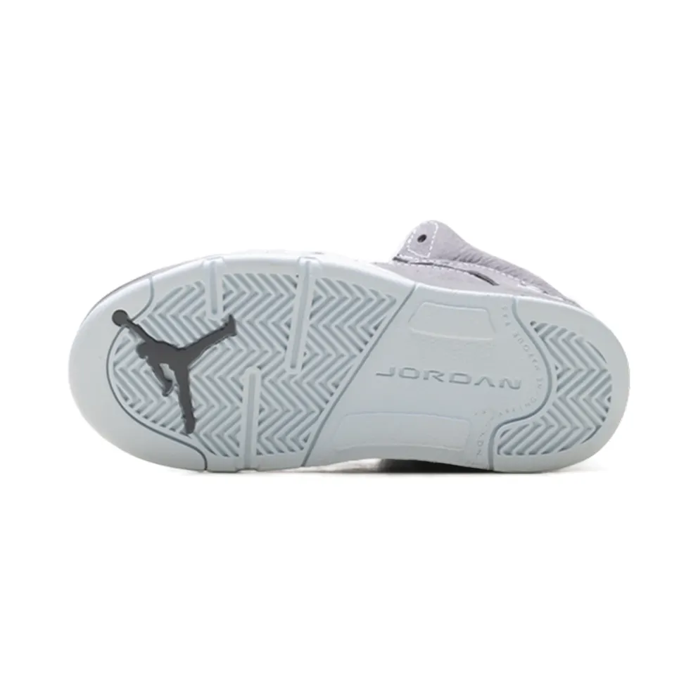 Air Jordan 5 TD “Wolf Grey (2026)” (440890-002)