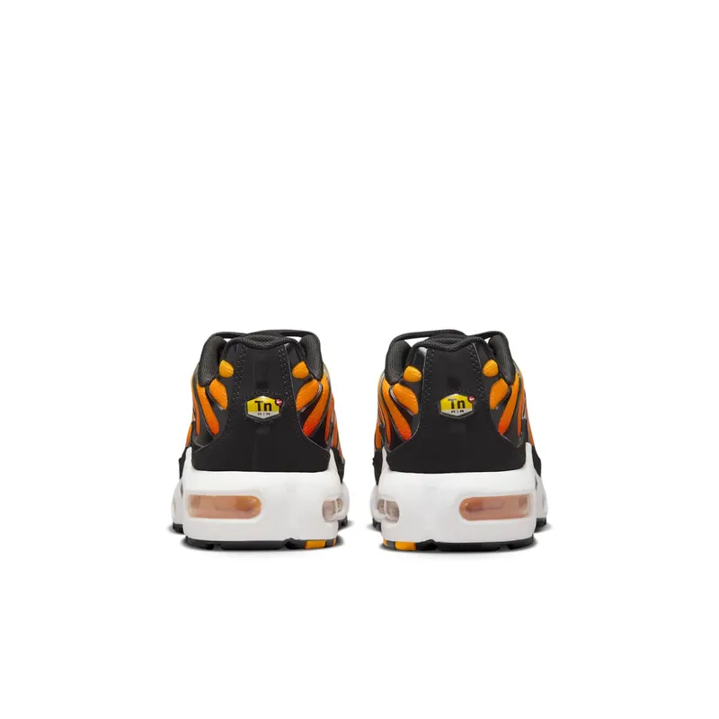Nike Air Max Plus Sunset (2024) (CD0609-029)