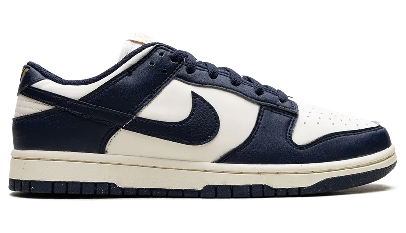 nike-dunk FZ6770-001