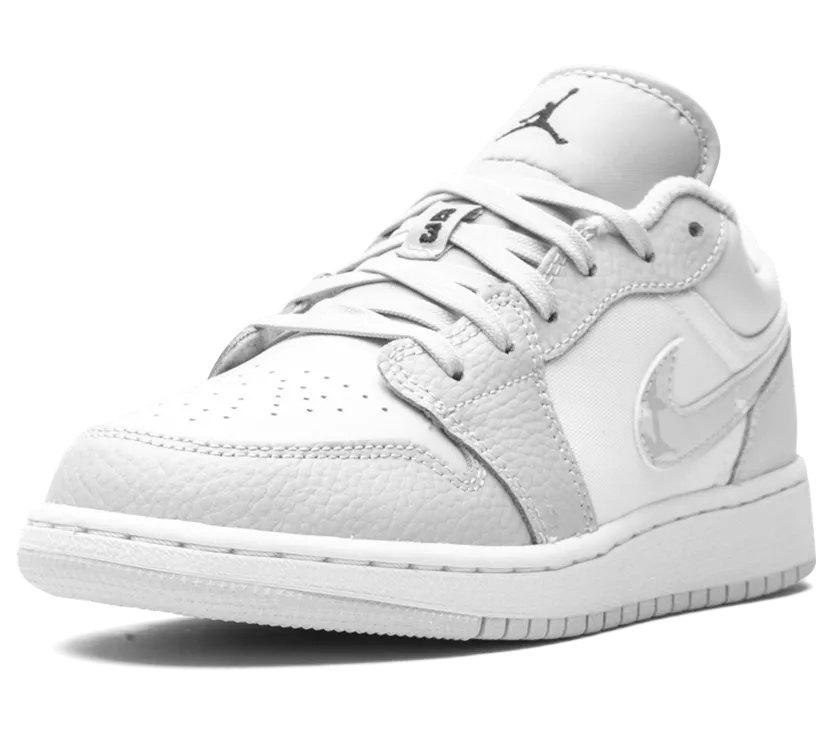 air-jordan-1 DD3234-100