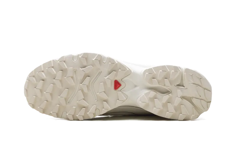 Salomon XT-Slate “Vanilla Ice Silver” (L47460-900)