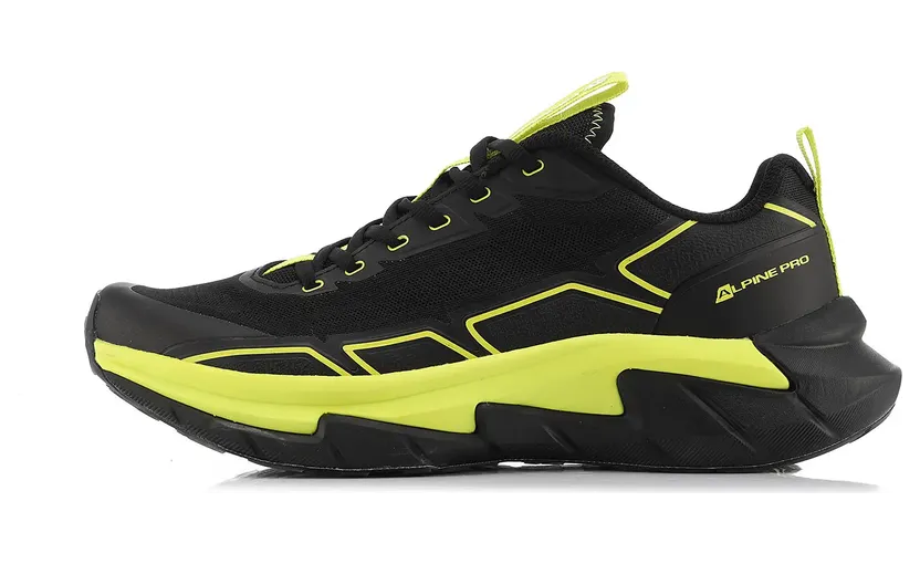 Alpine Pro Soneb (MBTC401990)