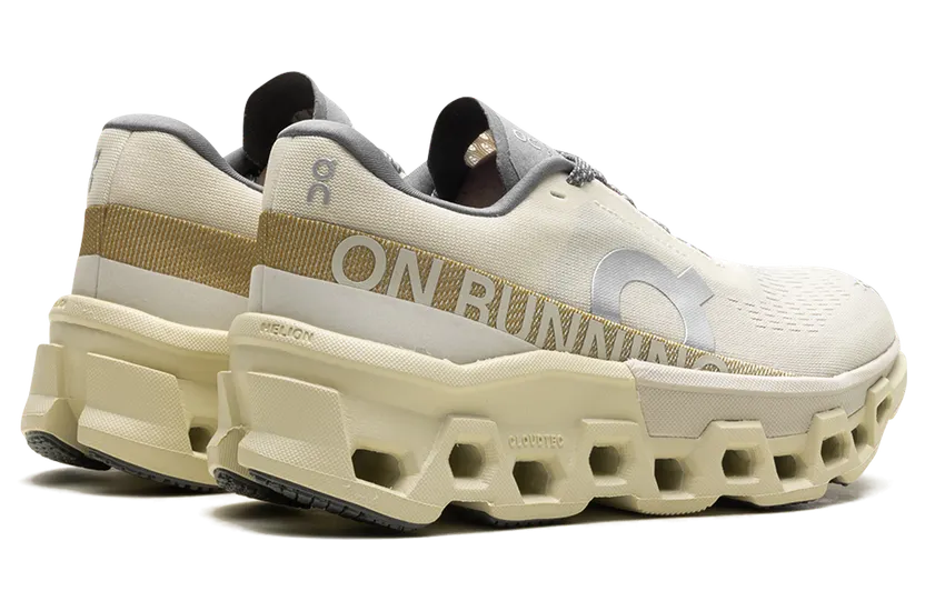 on-cloudmonster 3WE10112569
