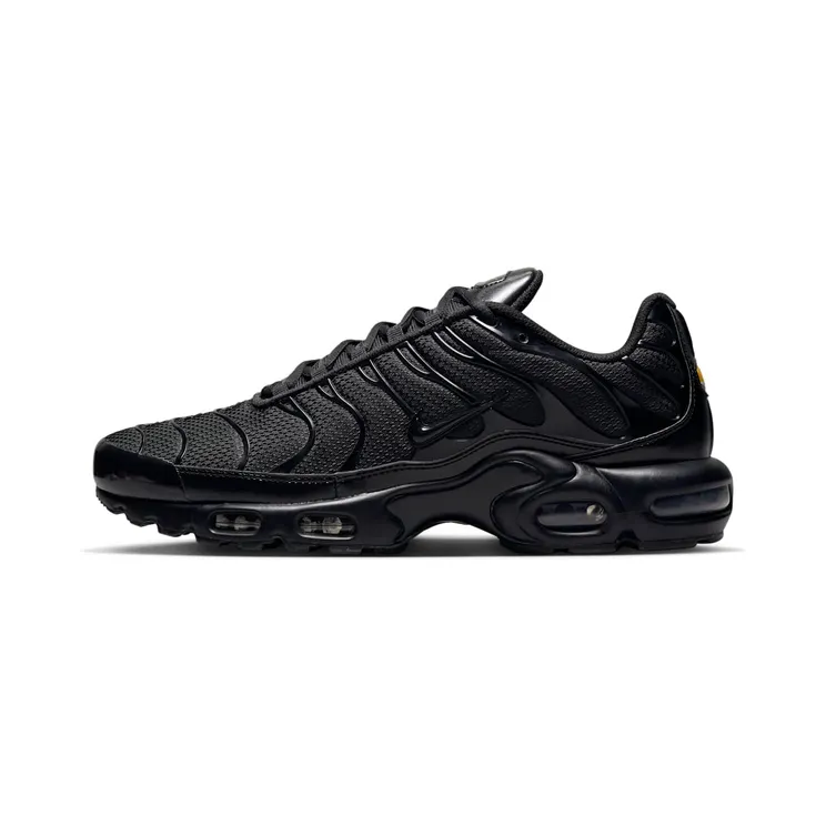 Nike Air Max Plus “Black” (604133-050)