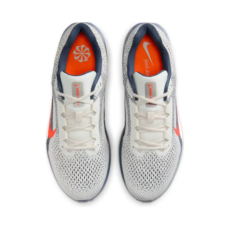 nike-winflo FJ9509-103