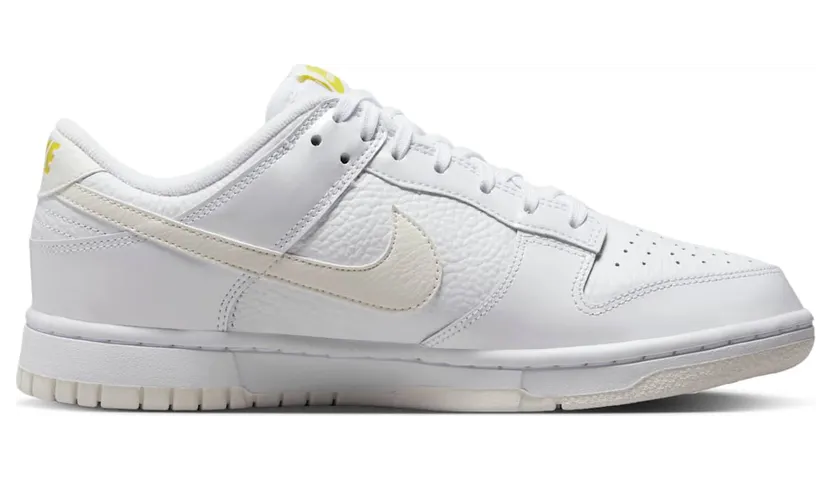 nike-dunk FD0803-100