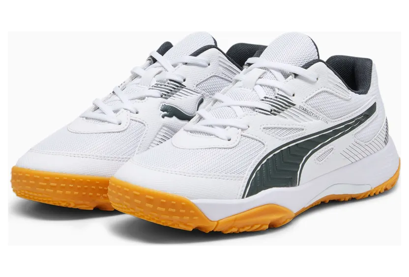 puma-indoorschoenen 106883-07