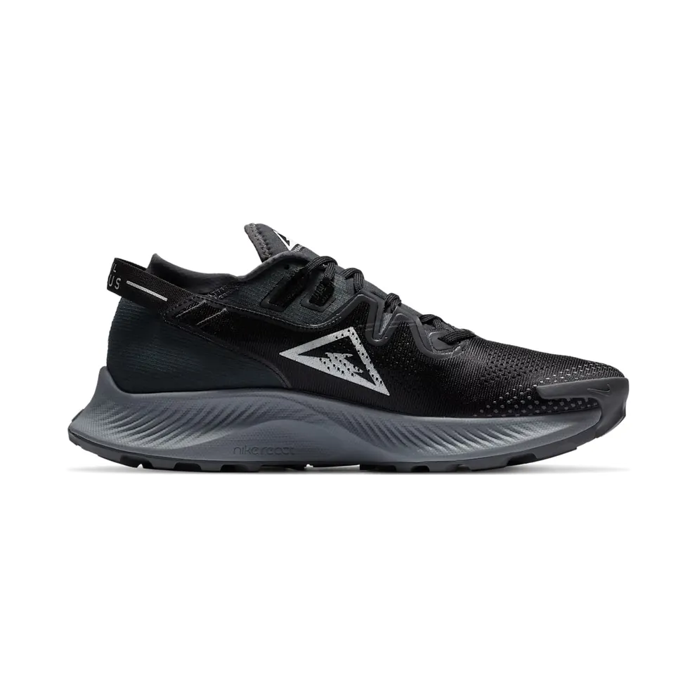 Nike Pegasus Trail 2 Black Dark Smoke Grey Black/Spruce Aura-Dark Smoke Grey (CK4305-002)