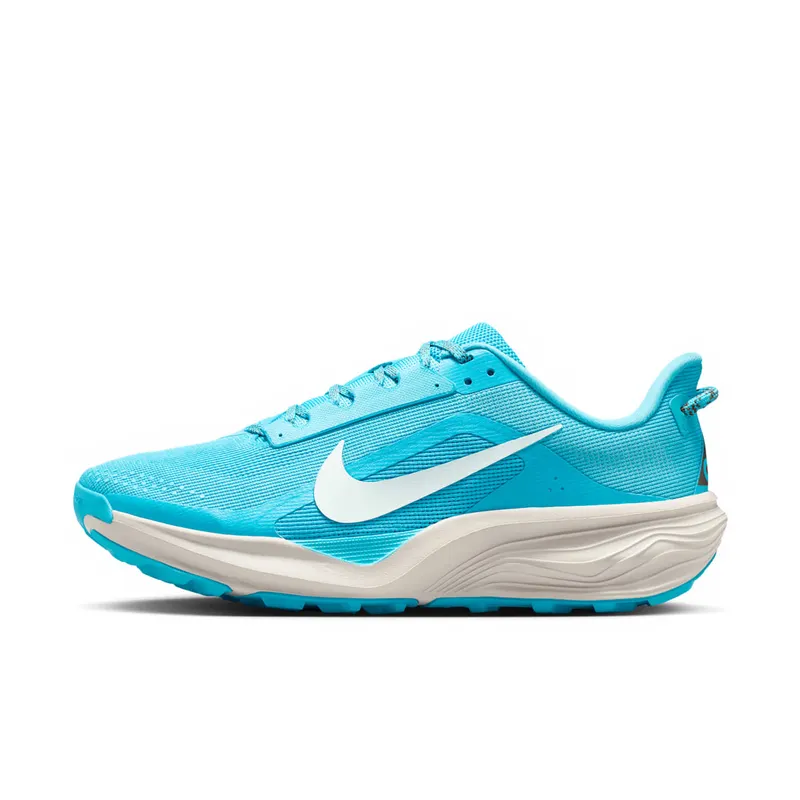 Nike ACG Baltic Blue/Light Orewood Brown/Ironstone/Summit White (HV8116-400)