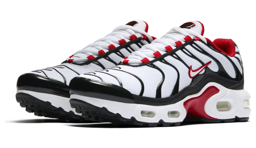 Nike Air Max Plus – Zwart