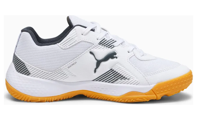 puma-indoorschoenen 106883-07