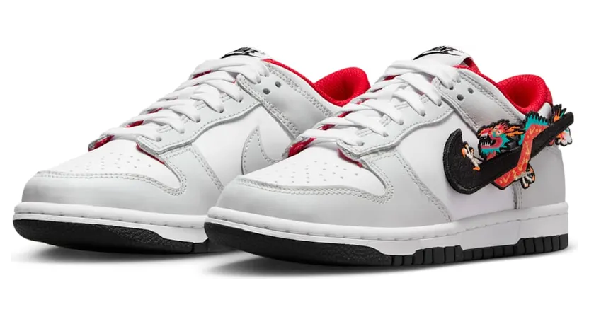 nike-dunk FZ5528-101