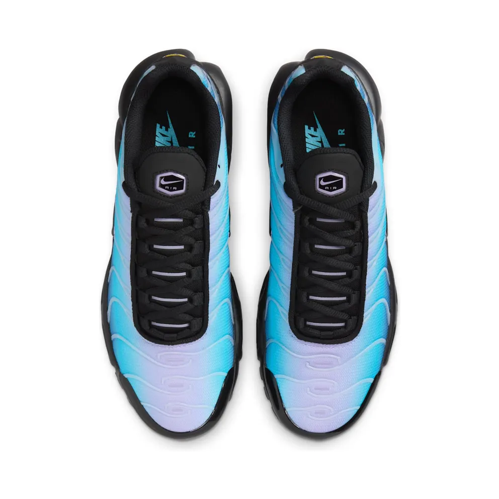 Nike Air Max Plus Black Hydrangeas (HV2510-001)